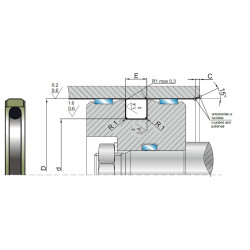 Pseal TPD PTFE-BZ+OR 55X44X4.2 TN2